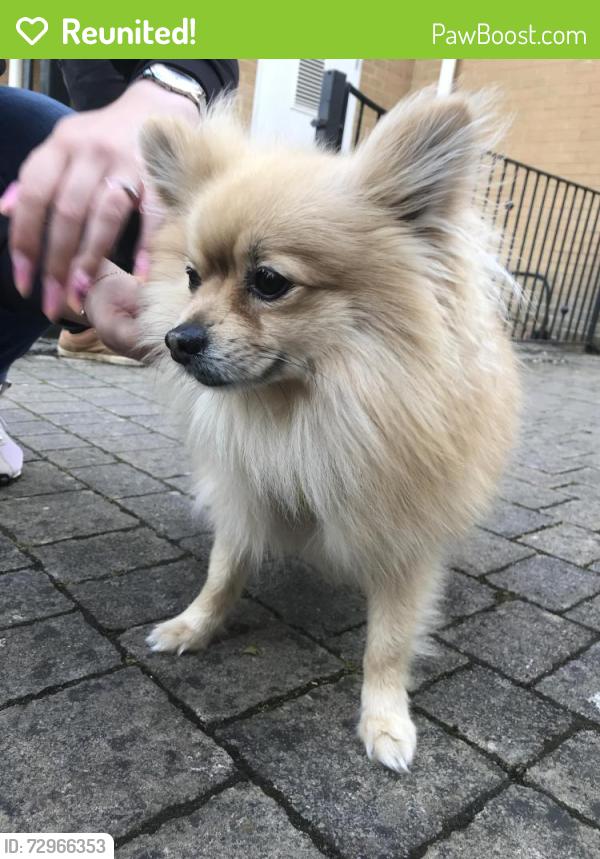 Reunited Unknown Dog last seen Richmond court, Exeter, Devon, England EX4 4JF