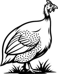 Found/Stray Unknown Bird last seen Stevens and Browder Hollow Rd, Lenoir City, TN 37771