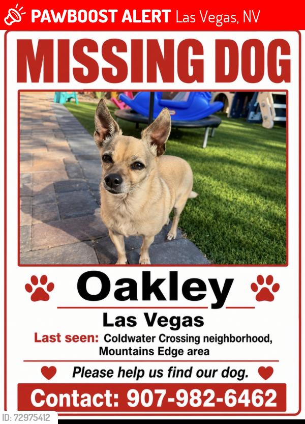 Lost Male Dog last seen Erie and Coldwater Crossing, Las Vegas, NV 89179