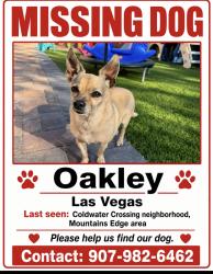 Lost Male Dog last seen Erie and Coldwater Crossing, Las Vegas, NV 89179