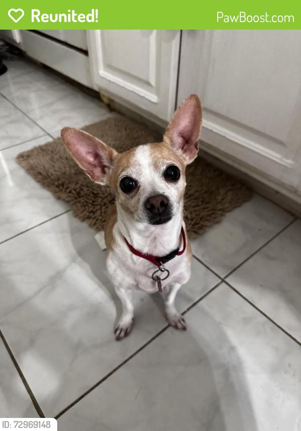 Reunited Female Dog last seen 47th Ave, Lemon Hill, Sacramento, CA 95824