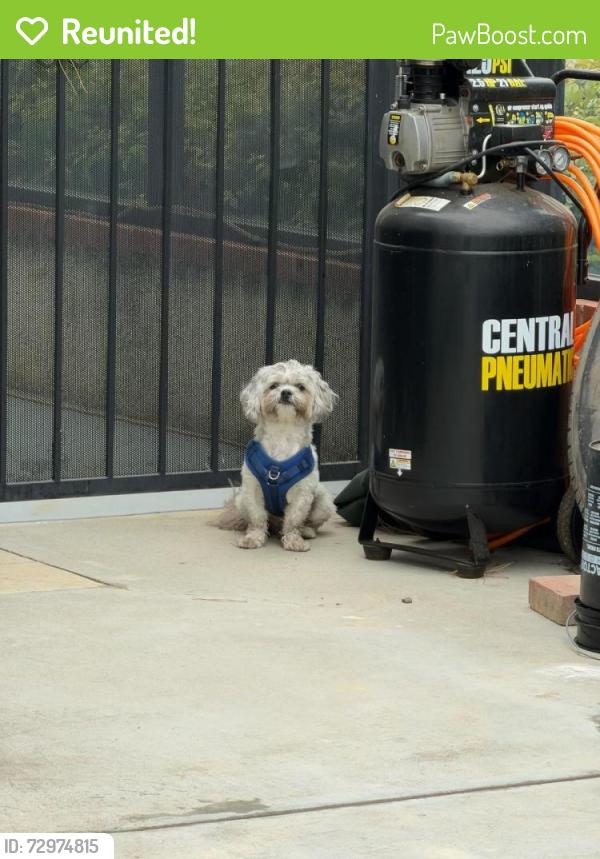 Reunited Unknown Dog last seen Santana and Gilbert , Corona, CA 92881