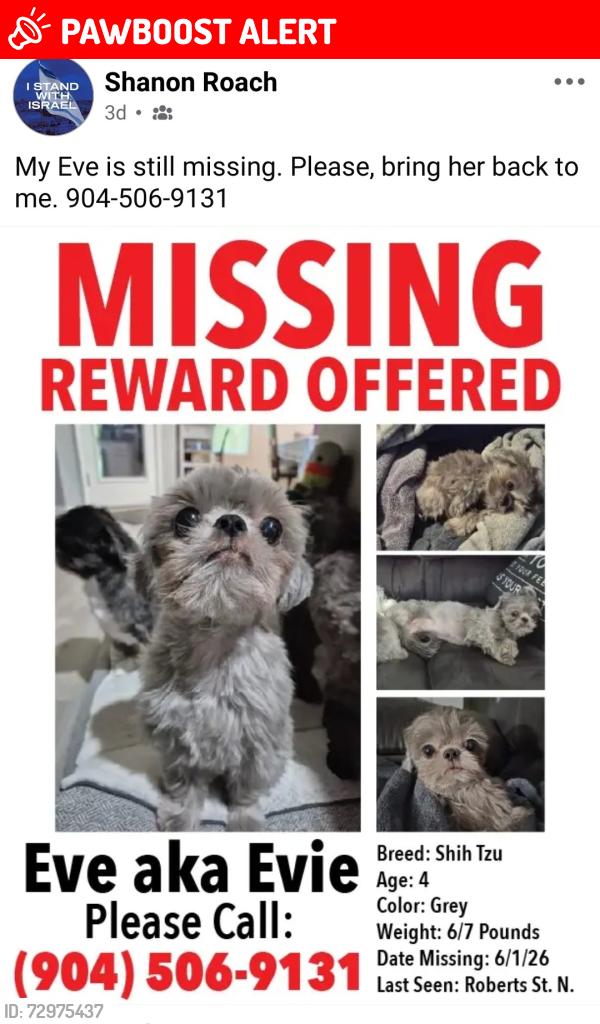 Lost Female Dog last seen Roberts Rd, MLK, near Jr HS, Green Cove Springs, Green Cove Springs, FL 32043