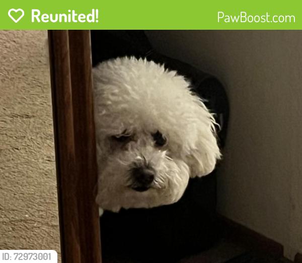 Reunited Male Dog last seen Hostetter and Sun Lane, San Jose, CA 95132