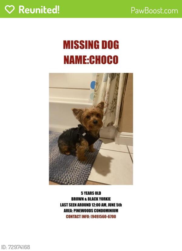 Reunited Male Dog last seen Chapman and Prospect, Orange, CA 92869