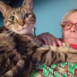 Lost Male Cat last seen Fulton street, New York, NY 10038