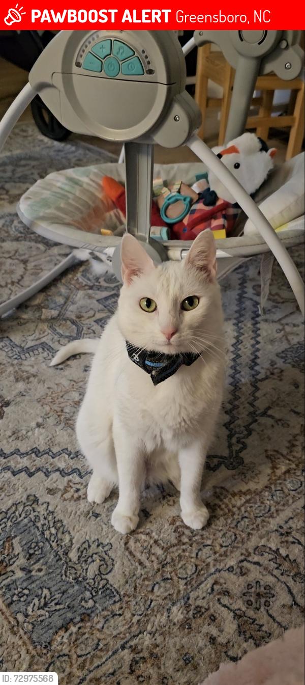 Lost Female Cat last seen Guilford HealthCare Center Willow Rd, Greensboro, NC 27406