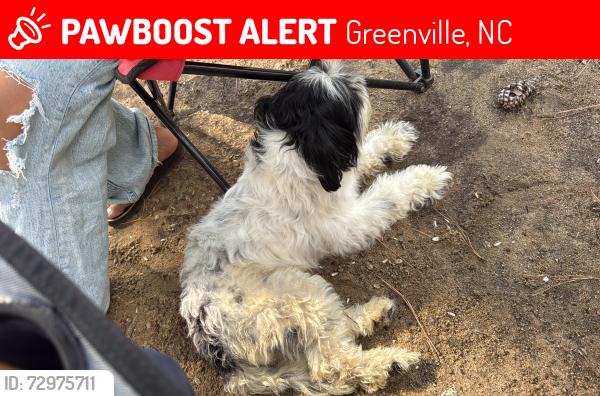 Lost Female Dog last seen Dusty Ln and Roosevelt Spain Rd, Greenville, NC 27834