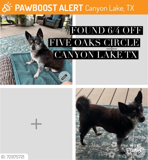 Found/Stray Male Dog last seen Near oaks circle canyon lake tx / fm 2673, Canyon Lake, TX 78133