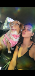 Reunited Female Dog last seen 18th Ave SE and 24th ST SE, Ruskin, FL 33570