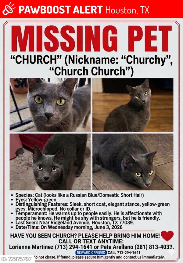 Lost Male Cat last seen Ridgeland Avenue and pastel Lane, Houston, TX 77039