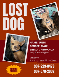 Lost Male Dog last seen Irwin St and Thompson St, Anchorage, AK 99508