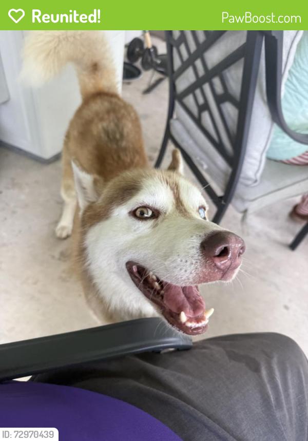 Reunited Male Dog last seen Choctaw Dr, La Porte, TX 77571, USA, La Porte, TX 77571