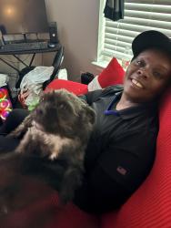 Reunited Female Dog last seen Sherman and Hercules, Denton, TX 76209