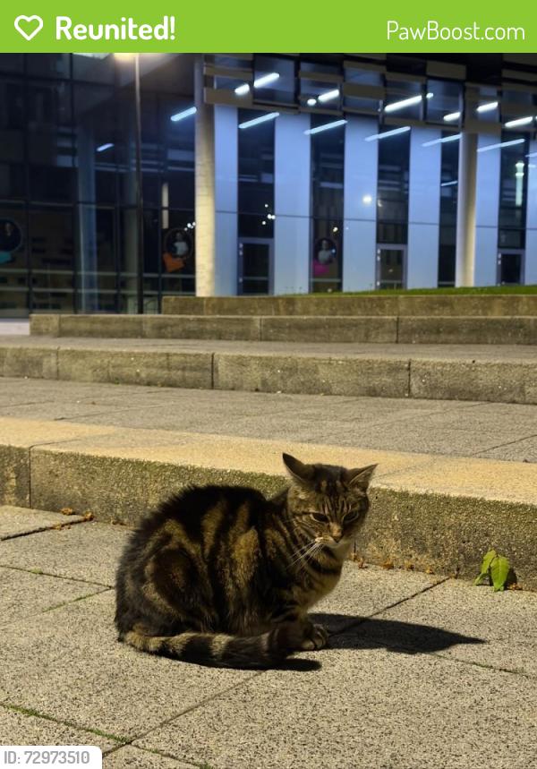 Reunited Unknown Cat last seen MMU Brooks building , Hulme, England M15 5FW