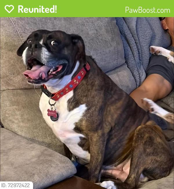 Reunited Female Dog last seen Fernwood, Sioux Falls, SD 57110