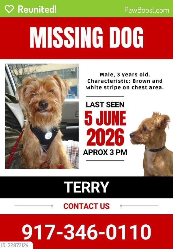 Reunited Male Dog last seen Near st Edgecombe Ave, New York, NY 10031
