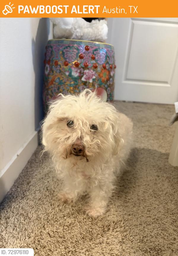 Found/Stray Unknown Dog last seen Mckinney Falls Pkwy, Austin, TX 78744