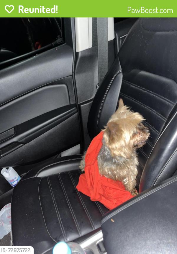 Reunited Male Dog last seen Quincy florida, Quincy, FL 32351