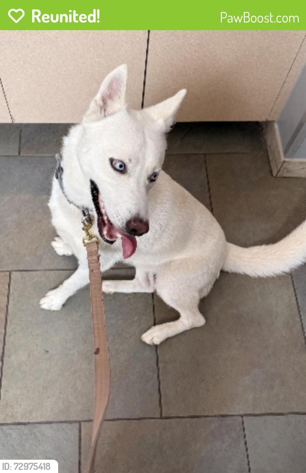 Reunited Male Dog last seen Near drexmore, Fort Worth, TX 76244