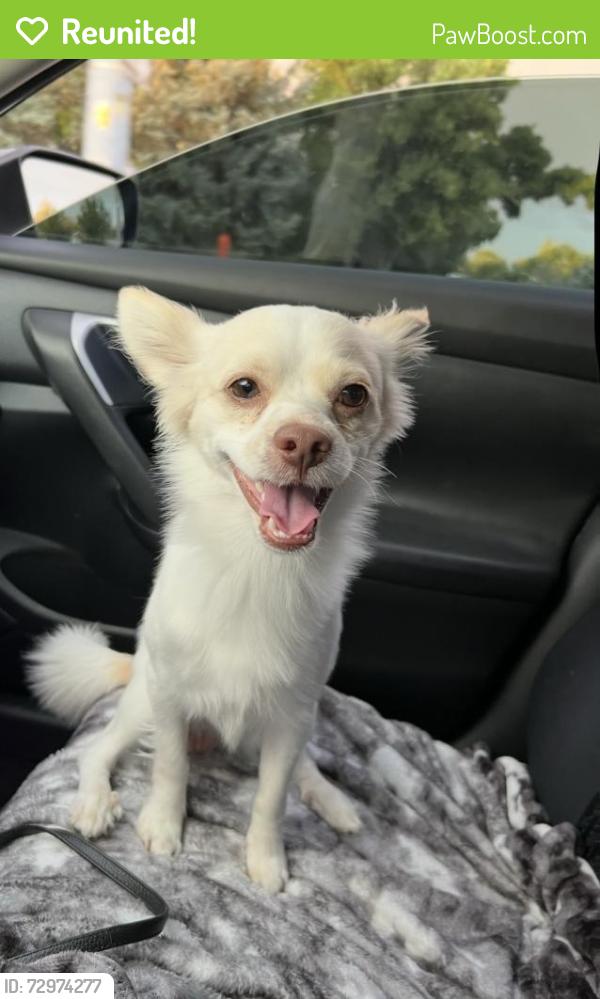 Reunited Male Dog last seen Bittersweet park in Greeley , Greeley, CO 80634