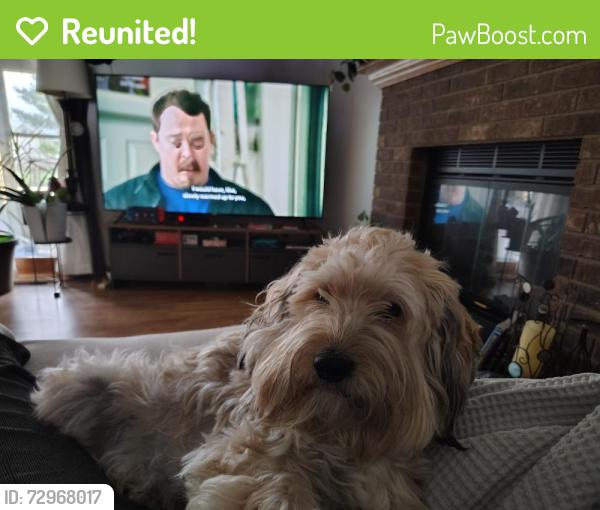 Reunited Male Dog last seen Near fountainhead dr, Fort Wayne, IN 46835