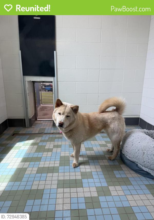 Reunited Female Dog last seen 23rd st and 77th Avenue , Greeley, CO 80634