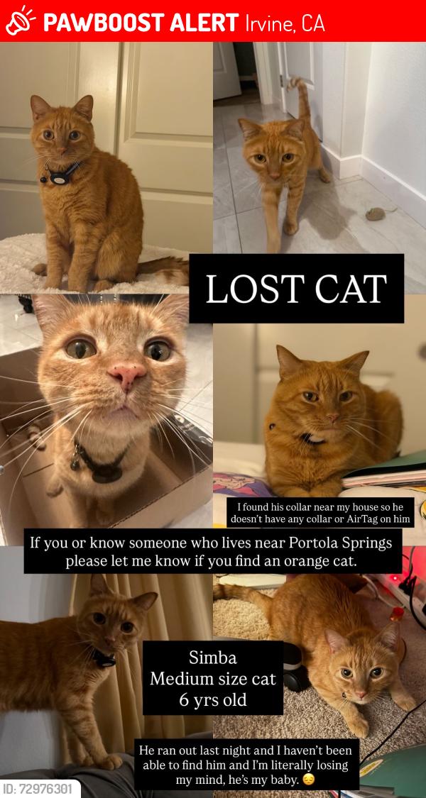 Lost Male Cat last seen Native Spring, Irvine, CA 92618