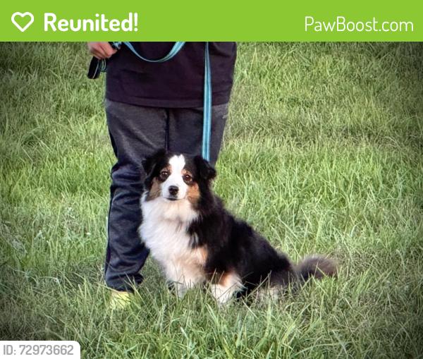 Reunited Female Dog last seen Haviland Lane, Stamford, CT 06903