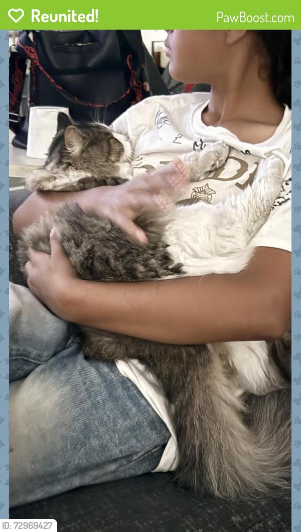 Reunited Male Cat last seen Highland ave and 43th , San Diego, CA 92113