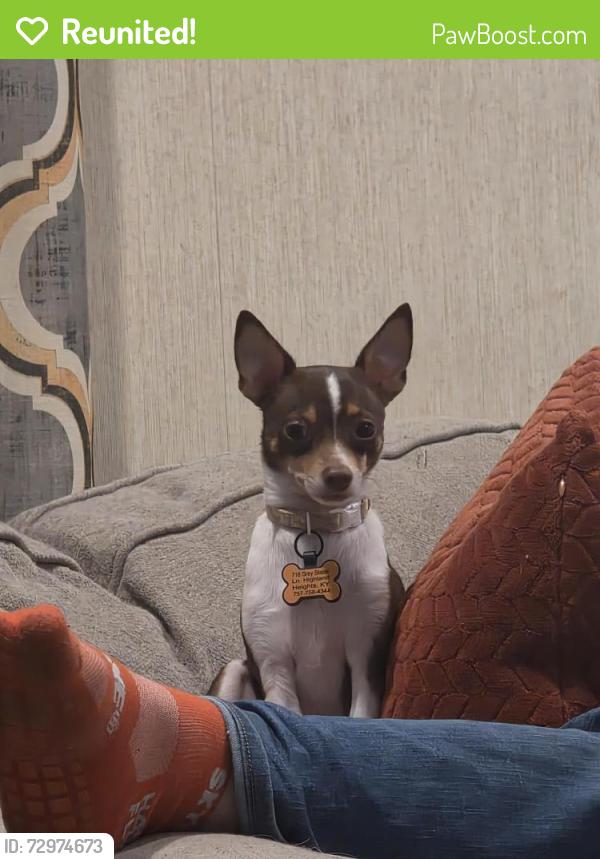 Reunited Male Dog last seen Youth land Academy, Cheviot, OH 45211