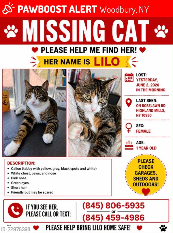 Lost Female Cat last seen Roselawn Rd Highland Mills One street before the iron chef restaurant, Woodbury, NY 10930