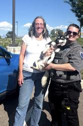 Reunited Female Dog last seen Huron and Melody, Northglenn, CO 80234