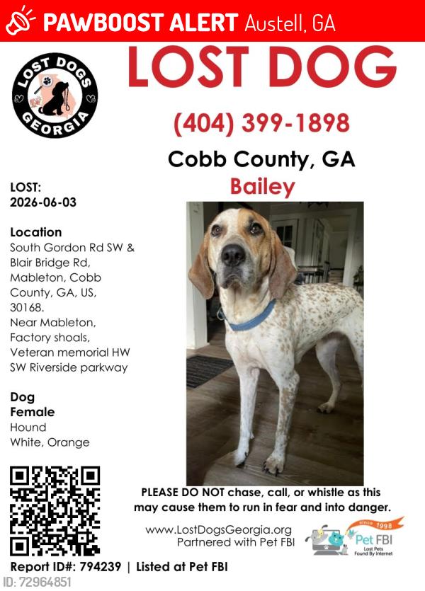 Lost Female Dog last seen Factory shoals rd, Mt. Pisgah rd , Austell, GA 30126