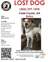 Lost Female Dog last seen Factory shoals rd, Mt. Pisgah rd , Austell, GA 30126