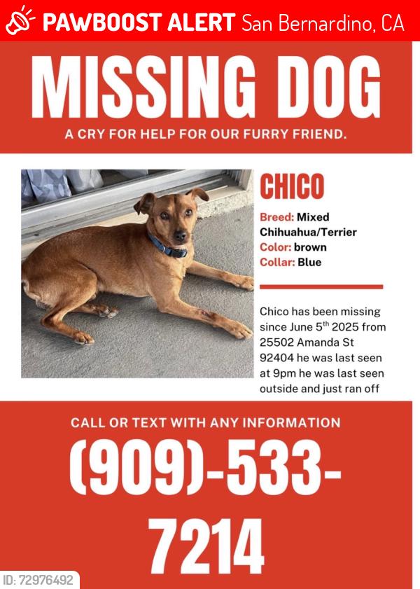 Lost Male Dog last seen Amanda st, San Bernardino, CA 92404