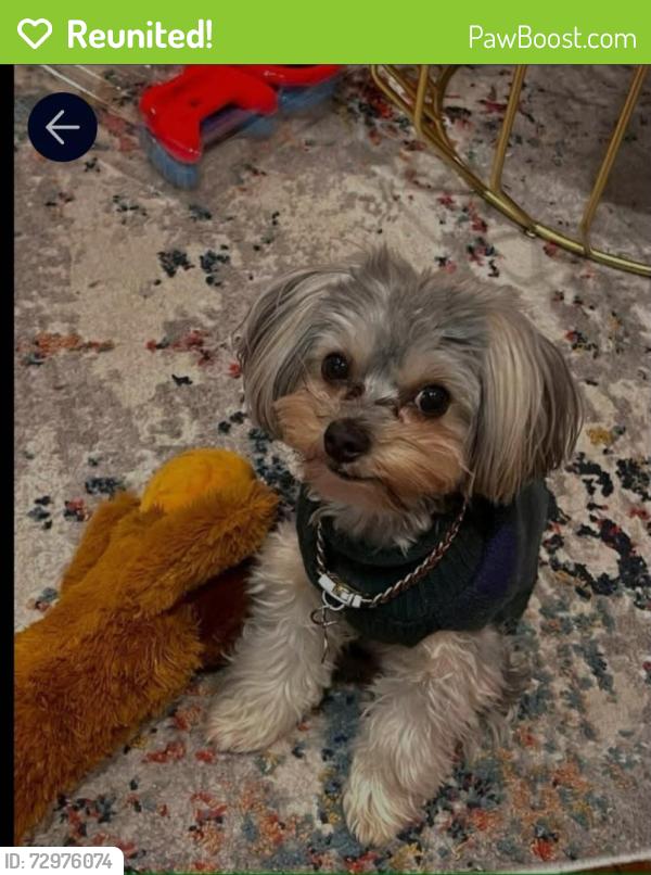 Reunited Male Dog last seen Dalraida Area, Montgomery, AL 36109