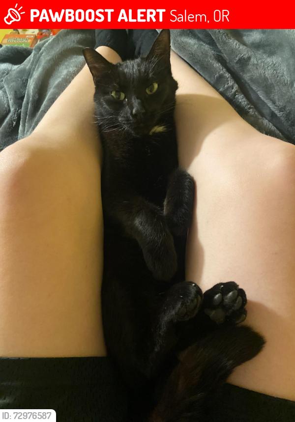 Lost Female Cat last seen Sunnyslope Neighborhood off of Kubler and Liberty, Salem, OR 97302
