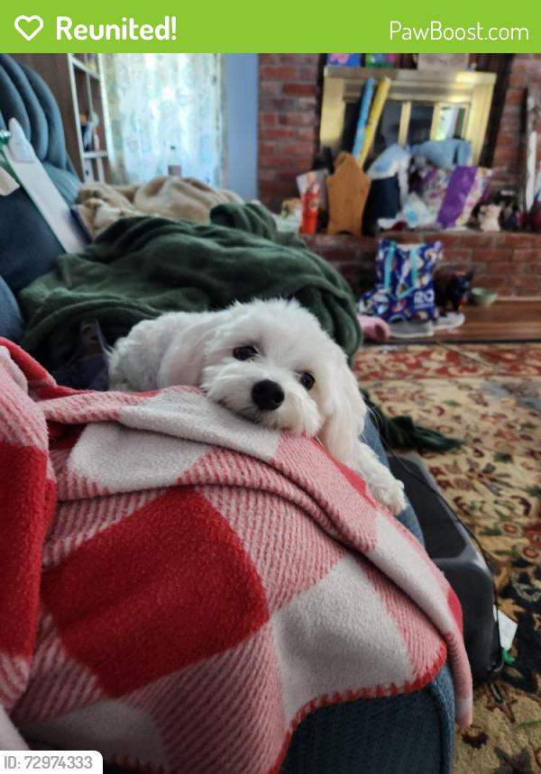 Reunited Male Dog last seen Tomahawk Court and hackberry, Topeka, KS 66605