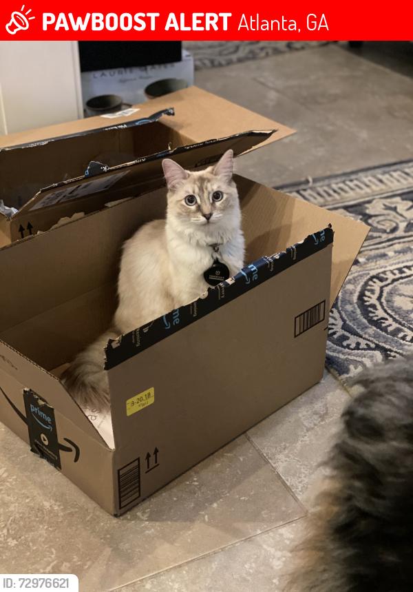 Lost Female Cat last seen Akers Mill, Atlanta, GA 30339