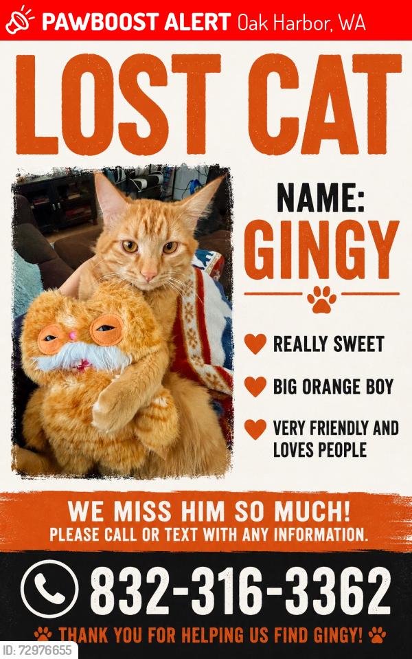 Lost Male Cat last seen Swan Dr in victory tarrance, Oak Harbor, WA 98277