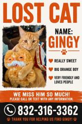 Lost Male Cat last seen Swan Dr in victory tarrance, Oak Harbor, WA 98277