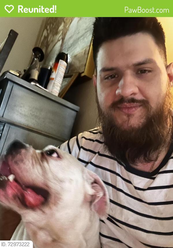 Reunited Female Dog last seen Veterans rd, Sam Houston rd, hike and bike trail, San Juan, TX 78589