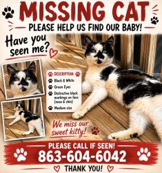 Reunited Male Cat last seen Six Mile Hwy & Valley Ln , Central, SC 29630