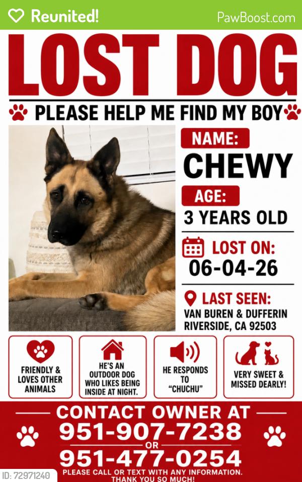 Reunited Male Dog last seen Citrus state park riverside, Riverside, CA 92503
