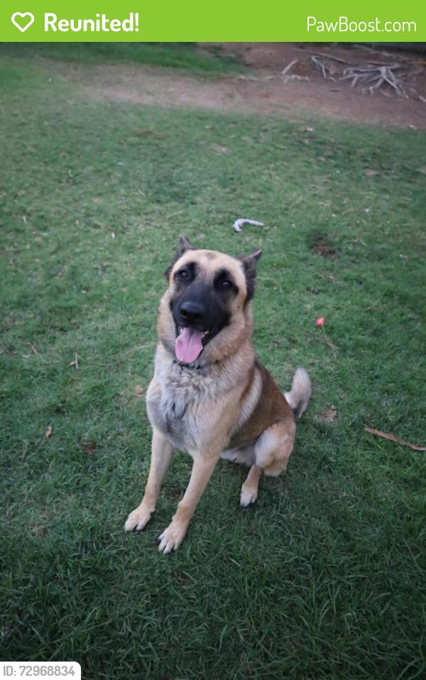Reunited Male Dog last seen Citrus state park Riverside , Riverside, CA 92503