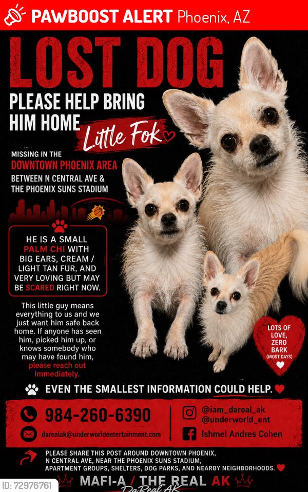 Lost Male Dog last seen Roosevelt & Central Ave , Phoenix, AZ 85004