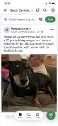 Lost Male Dog last seen Leah Lomar Park 1325 Mulford Street Evanston, IL, Evanston, IL 60202