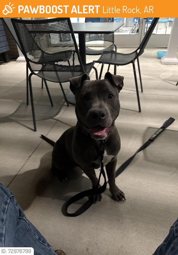Found/Stray Male Dog last seen Near Wilson rd , Little Rock, AR 72205