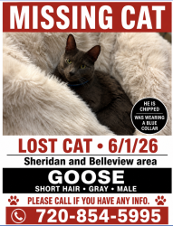 Reunited Male Cat last seen Sheridan & Belleview, Littleton, CO 80123